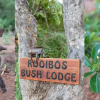 Отель Rooibos Bush Lodge, фото 22