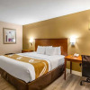 Отель Parkway Inn & Suites, фото 16