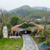 Отель Giraffe Manor Hotel, фото 15