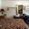 Отель Copper River Motel, фото 5