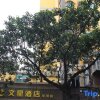 Отель Wenxing Hotel Guangzhou Gangding Metro Station Branch, фото 6