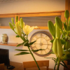 Отель Fantástico apartamento de 1 habitación en El Pris, фото 4
