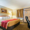 Отель Econo Lodge Danvers, фото 6