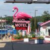 Отель Flamingo Motel & Suites в Lake Delton
