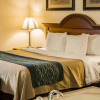 Отель Comfort Inn & Suites Diamondale – Lansing, фото 44