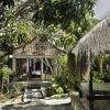 Отель The Tanis Villas & Lembongan Express Bali, фото 22
