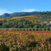 Отель Agriturismo Dattilo, фото 17