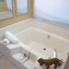 Отель Ly54052 - Indian Ridge - 3 Bed 2 Baths Villa, фото 8