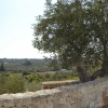 Отель Mediterranea appartament near Ostuni, фото 28