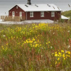 Отель Skálanes Mountain Lodge, фото 4