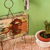 Отель Ritornello B&B, фото 7