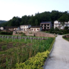 Отель Taohuaxi Inn, фото 14
