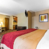 Отель Comfort Inn, фото 17