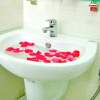 Отель HANZ Ailen Garden Hotel, фото 4