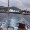 Отель Jeju Nandere Log Pension, фото 15