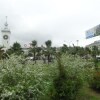 Гостиница Комната в Квартире на Горького, фото 20