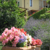 Отель Agriturismo Il Bacio, фото 2