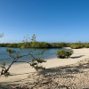 Отель Finch Bay Galapagos Hotel, фото 14