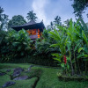 Отель Bali Eco Stay, фото 5