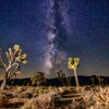 Отель Panamint Springs Resort, фото 23