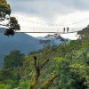 Отель Chimpanzee Lodge, фото 3