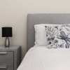 Отель Comfy Coogee 1 Bedroom Hideaway, фото 4