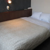 Отель Toyohashi Station Hotel, фото 6