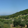 Отель Orto degli Ulivi, фото 8