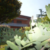 Отель Villa Romana Relax Suites, фото 24