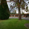Отель Arbutus Grove Motel, фото 18