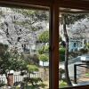 Отель Jirisan Sunlight, фото 8