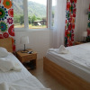 Отель Flora Pansiyon Cirali, фото 5