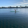 Отель Sunflower Ct. 249 Marco Island Vacation Rental 3 Bedroom Home, фото 17