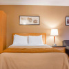 Отель Comfort Inn Brantford, фото 6