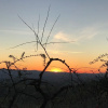Отель Holidays In The Heart Of Chianti, фото 7