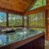 Отель Dancing Bear by Escape to Blue Ridge, фото 13
