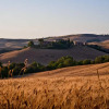 Отель Tuscany Forever Apartments 1, фото 25