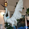 Отель Huizhou Mangrove Bay Binhaishan Lake View Center Apartment, фото 9