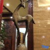 Отель Jing Zhu Hotel, фото 4