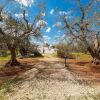 Отель 2771 Uliveto Valeria - Trullo Palma by Perle di Puglia, фото 19
