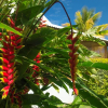 Отель Villa Pêcheurs, фото 2