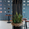 Отель B&B Hotel Zürich Airport Rümlang, фото 43