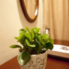 Отель Greentree Inn Taizhou Xinghua Zhangguo Bus Station, фото 7