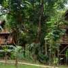 Отель Our Jungle Camp - Eco Resort, фото 8