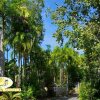 Отель Port Douglas Plantation Resort, фото 19