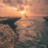 Отель Ocean Brothers, фото 7