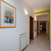 Отель Apartments Sime, фото 2