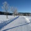 Отель Bio- und Wellnesshotel Alpenblick, фото 3