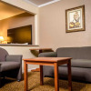 Отель Executive Inn and Suites, фото 8