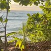 Отель Surrounded By Trees In Front Of The Sea, фото 15